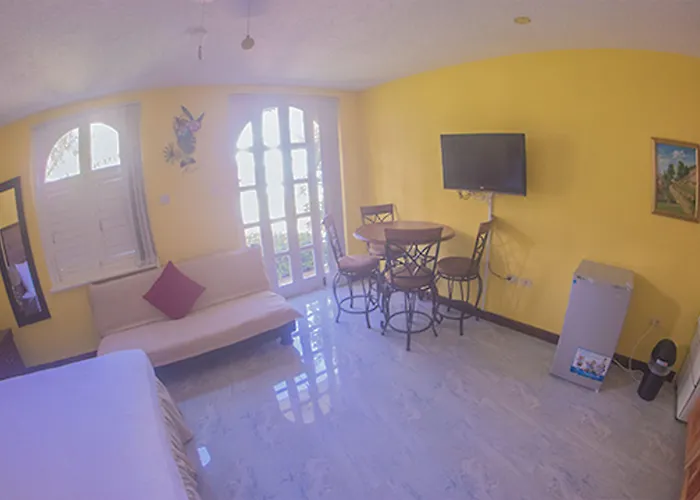 Conch Shell @ Sandcastles Apartment *