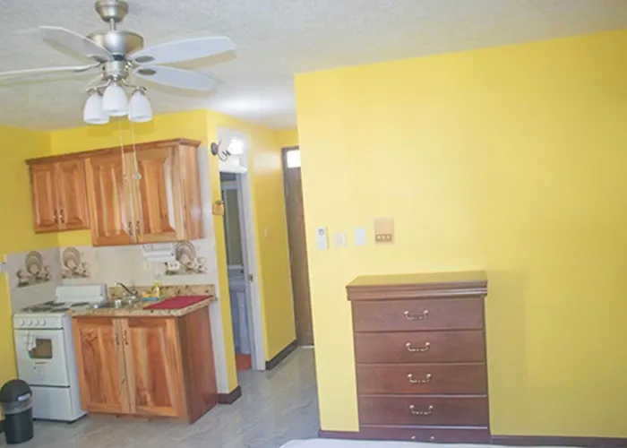 Conch Shell @ Sandcastles Apartment